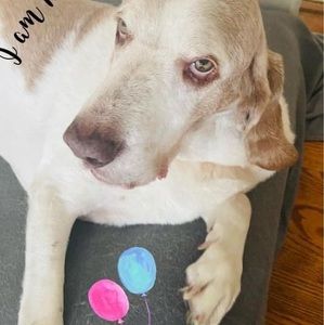 Meet your Posher, Danna